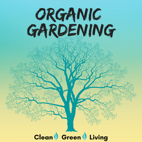beautiful tree graphic design by anju for organic gardening logo branding package